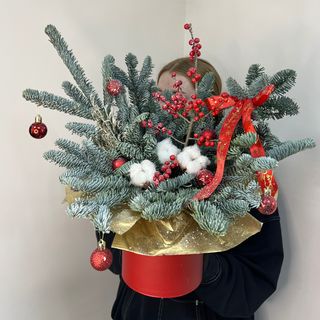 Композиція з нобілісу №1