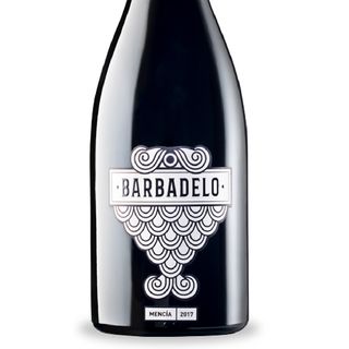 Adegas Terrae - Barbadelo - Ribeira Sacra - Hiszpania