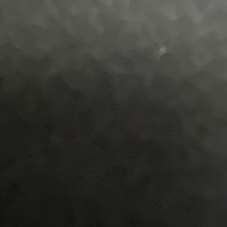 Viena Atún Completa con Mayonesa