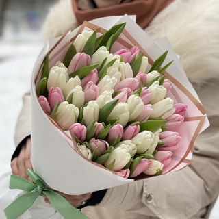 51 тюльпан білий з рожевим 