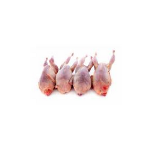Codornices (1 Ud.)