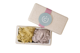 Sladoled bez šećera i mlijeka 500g