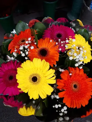 Bouquet di gerbere