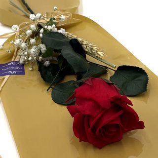 Rosa Roja Preservada