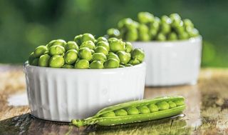 PISELLI FINI NOVELLI (9242)