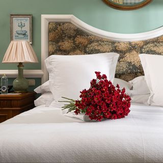 Ramo de 5 Margaritas Granate