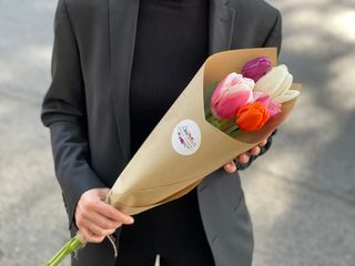 ფერადი ტიტა 5 ცალი