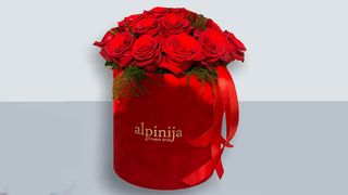 Box 15 crvenih ruža