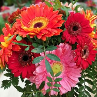 Ramo de Gerberas "El Torcal"