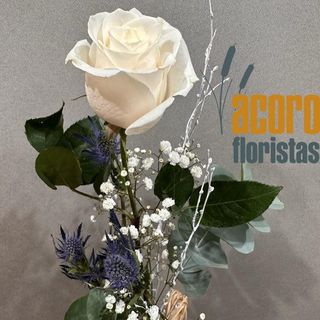 Rosa Blanca Unidad Decorada