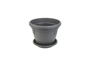 Саксия, сива, Ф17