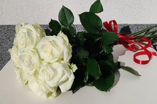 Бели рози (15бр)