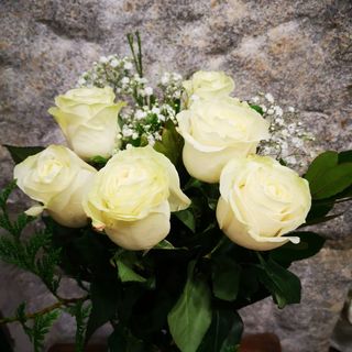 6 Rosas Blancas Para Regalo (Aprox. 50 Cm.)