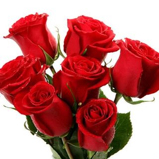 Bukiet z 7 róż czerwonych 
