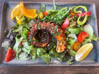 Пипало от октопод