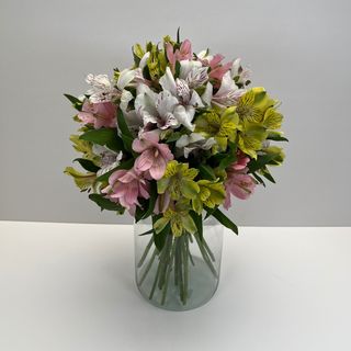 Ramo 24 Alstroemerias Sorpresa 