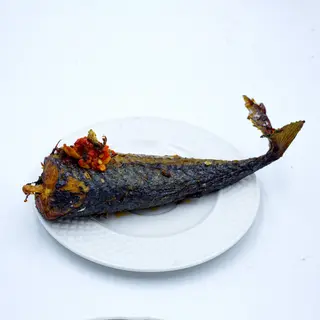 Titus Fish