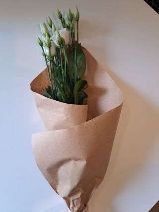 Lizijantus bijeli 1 kom.