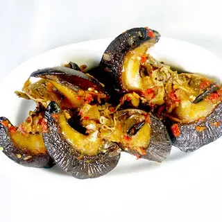 Snail
