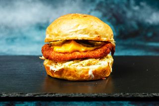 Chicken burger & pomfrit