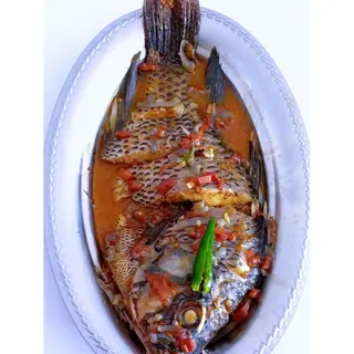 House Fish