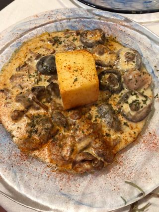 Setas Concordia (Ración)