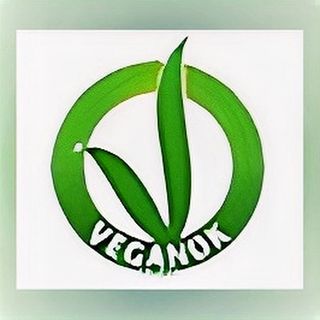 Focaccina cinese - focaccia bianca, cipollotto - piatto vegano