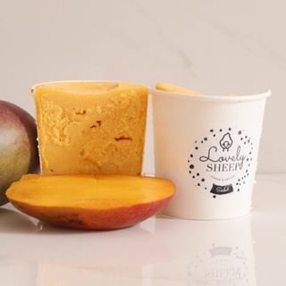 Grand Pot Sorbet Mangue 475 ml