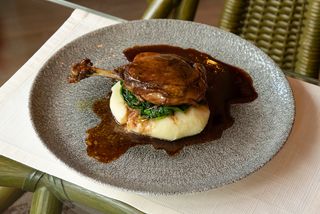 Pulpă de rață "tsume"