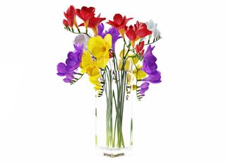 11 Фрезии, Микс