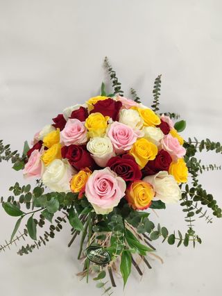 Ramo Arco-íris
