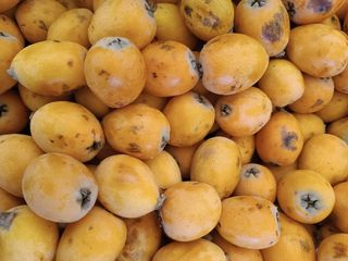 Nespole 