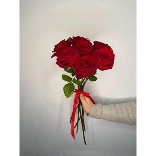 Czerwona róża 60 cm, 7 szt