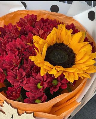 მზესუმზირა ქრიზანთემა 