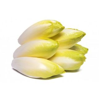 Endivia Blanca Bandeja De 3-4 Uds.