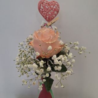 Violetero con Rosa  Rosa