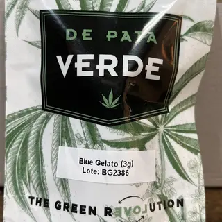 CBD BLUE GELATO INDOOR