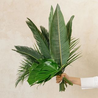 Ramo de hojas tropicales verdes