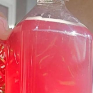 Hibiscus Jaba Juice-1ltr