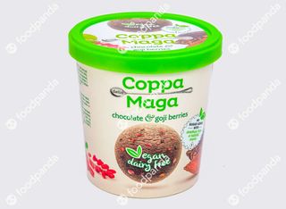 Веган сладолед без захар с шоколад и годжи бери (125мл)