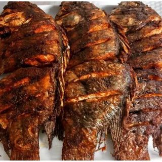 Whole Tilapia Fish