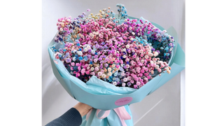 BUKIET KOLOROWEJ GIPSÓWKI