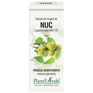 Extract din muguri de nuc (JUGLANS REGIA)