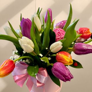 Кутия с 21 бр. цветни лалета