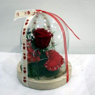 Cúpula con rosa preservada de 15 cm.