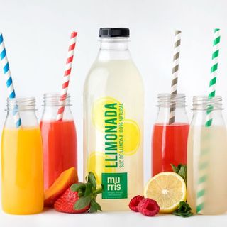 Suc Natural De Poma (33 cl.)