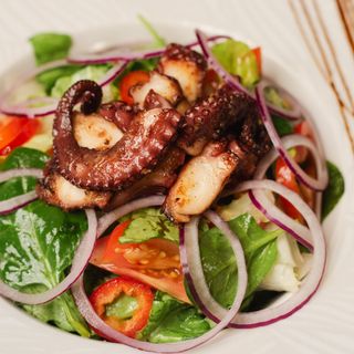 Salata sa hobotnicom