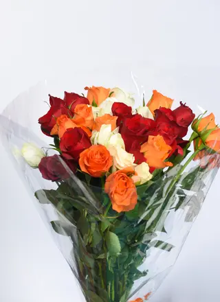 Radiant blooms