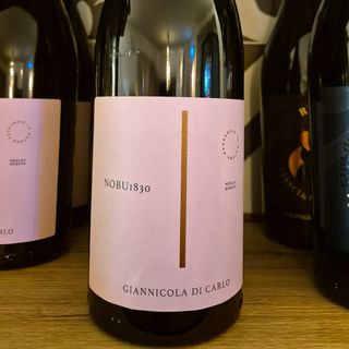 Merlot affinato in anfora Giannicola di Carlo (vino rosato) 