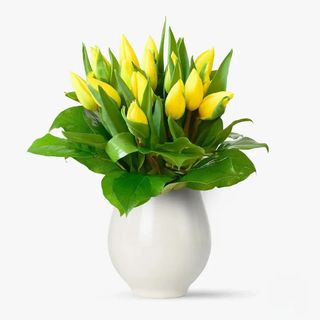 Buchet 15 lalele galbene